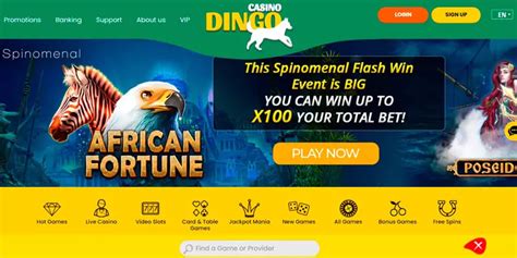 casino dingo